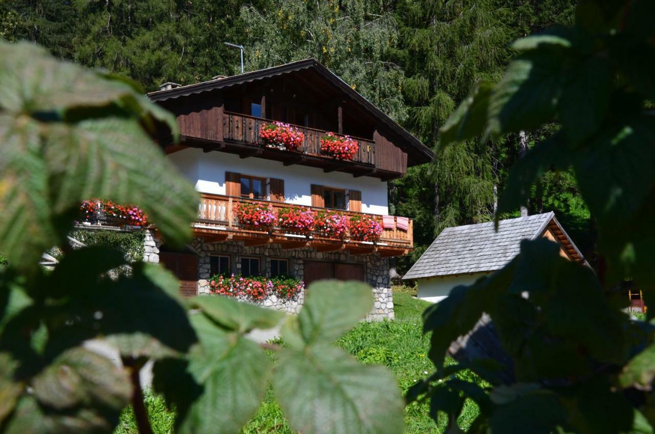 Ferienwohnung Baumannhof Toblach Exterior foto